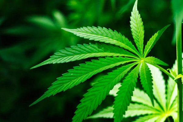 Наркосайт кракен