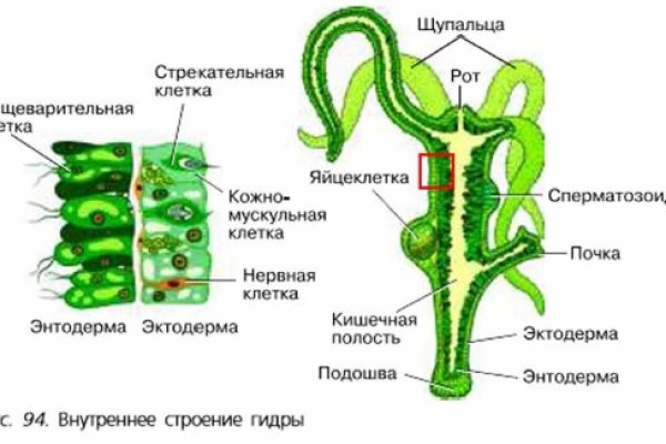 Kraken ссылка тор 2krnk biz kraken17ate pro