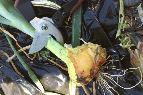 Кракен вход ссылка