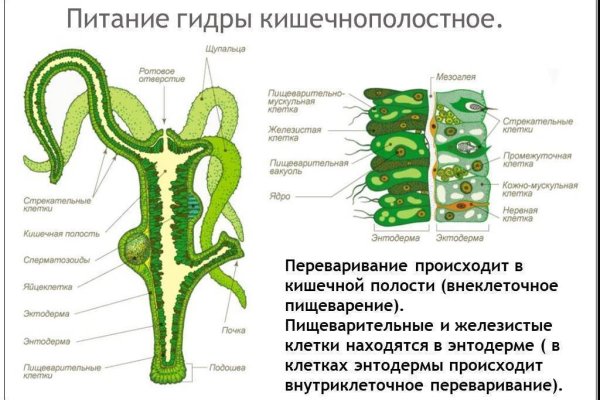 Кракен гидра даркнет